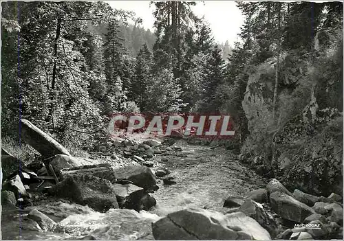 Cartes postales moderne Gerardmer (Vosges) Le Saut des Cuves