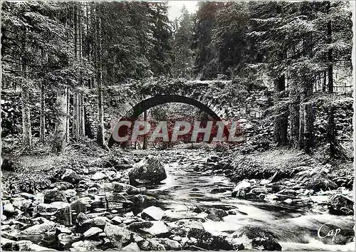 Moderne Karte Gerardmer (Vosges) Le Pont des Fees