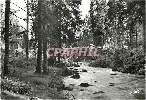 Cartes postales moderne Gerardmer (Vosges) La Vologne au Pont des Fees