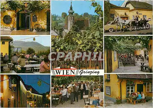 Cartes postales moderne Vienne Grinzing Taverne de vin de renom mondial