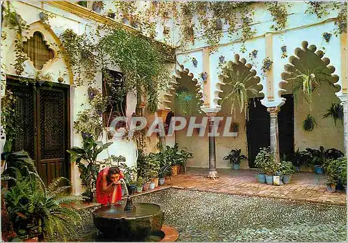 Cartes postales moderne Espana es Differente Patio Andaluz