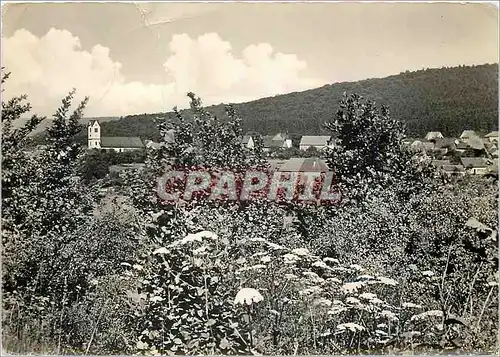 Cartes postales moderne Olzenhausen Soar