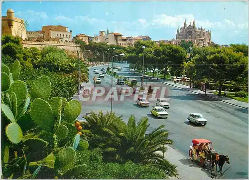 Cartes postales moderne Palma de Mallorca