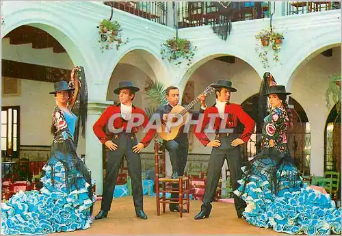 Cartes postales moderne Ballet espanol Los Flamencos