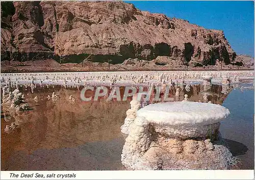 Cartes postales moderne The dead sea Salt crystals