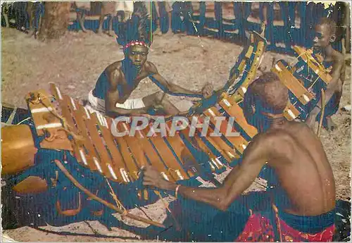 Cartes postales moderne L'afrique en couleurs Joueurs de Balalon