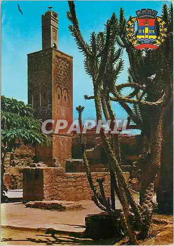 Cartes postales moderne Rabat Le Chellah et Armoire de la ville