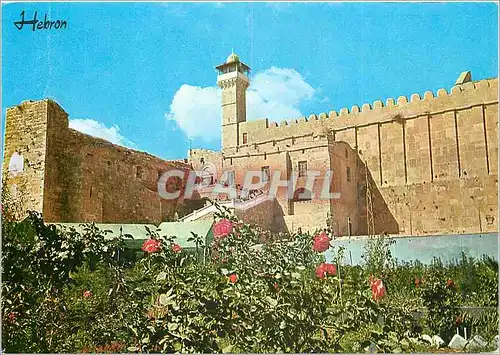 Cartes postales moderne Hebron Le Caveau des patriarchs