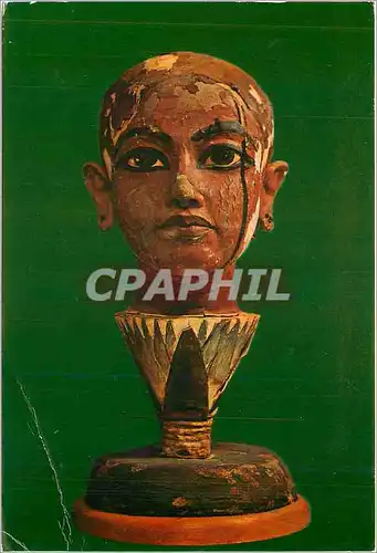 Cartes postales moderne Egypt portrait du roi monte sur une fleur de Lotus