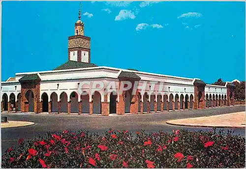 Cartes postales moderne Rabat Mosquee Royale Ahl-Fes