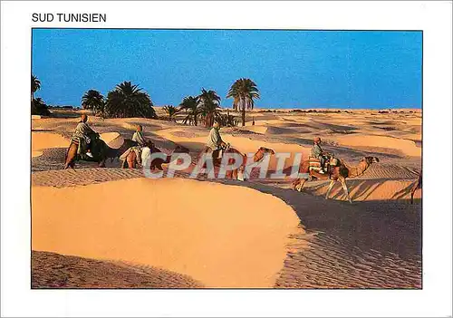 Cartes postales moderne Tunisie Sud Tunisien