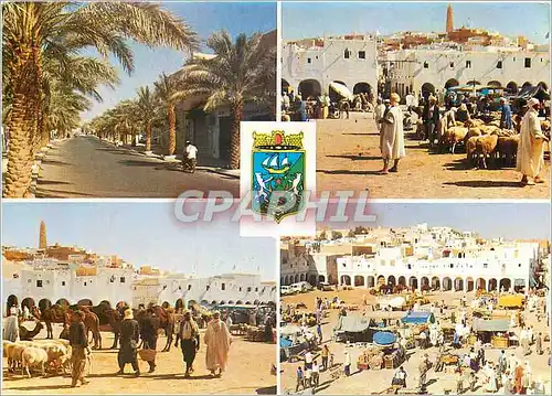 Cartes postales moderne Souvenir de Chardaia