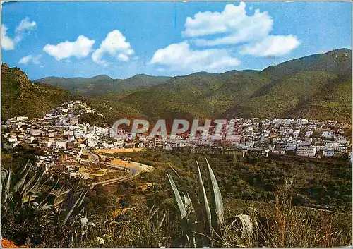 Cartes postales moderne Maroc Moulay Idriss Zerhoun Vue panoramque