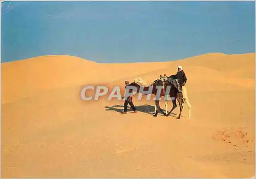 Cartes postales moderne Le Sahara