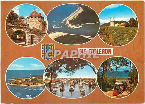 Cartes postales moderne Ile d'Oleron (Chte Mme)