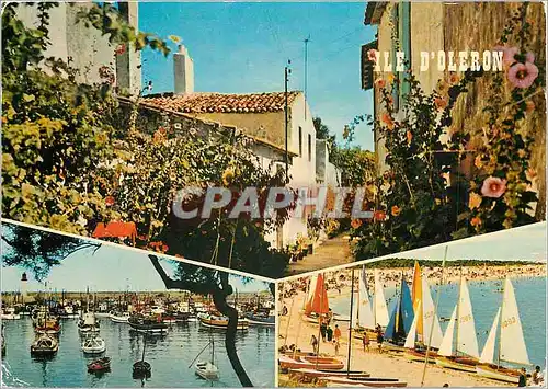 Cartes postales moderne Ile d'Oleron (Chte Mme)