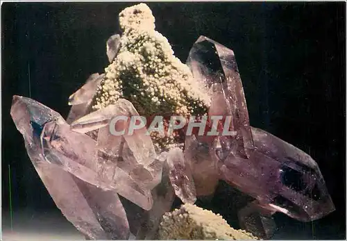 Cartes postales moderne Musee Mineralogique de la Grotte de Besancon (Doubs) Amethyste sur Gangue (Mexique)