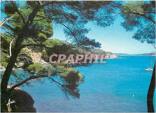 Cartes postales moderne Lumiere et Beaute de la Cote d'Azur Hyeres les Palmiers Giens La plage l'Arboussiere