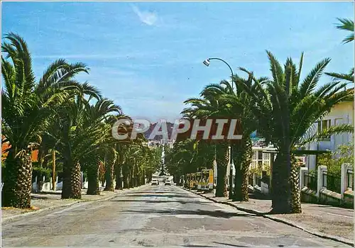 Cartes postales moderne Hyeres les Palmiers Avenue Alexis Godillot