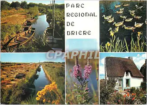 Cartes postales moderne Parc Regional de Briere