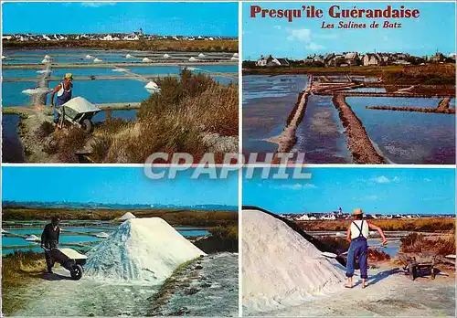 Cartes postales moderne La Bretagne Presqu'ile Guerandaise Les Les Salines de Batz