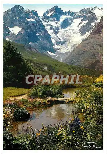 Cartes postales moderne L'Oisans Les ALpes Pittoresques Massif de la Meije les Jardins du Lautaret