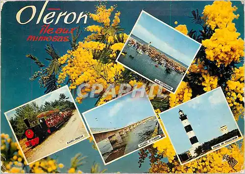 Cartes postales moderne Ile d'Oleron Train