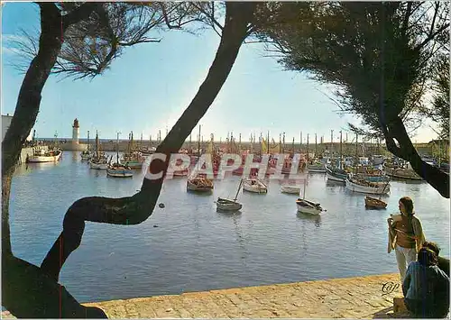 Moderne Karte La Cotiniere (Ile de'Oleron) Le Port