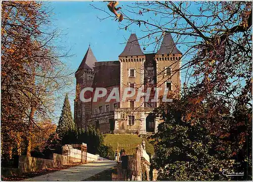 Cartes postales moderne Pau (Le chateau)