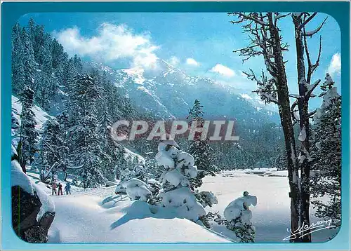 Cartes postales moderne Regard sur les Pyrenees Feerie de l'hiver promenade dans la neige pourdreuse au Cayan