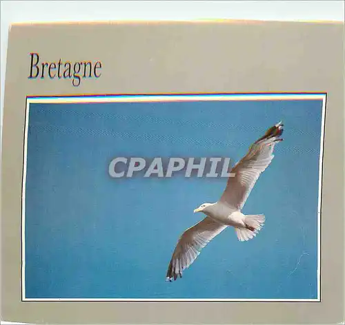 Cartes postales moderne Bretagne images du Pays Breton