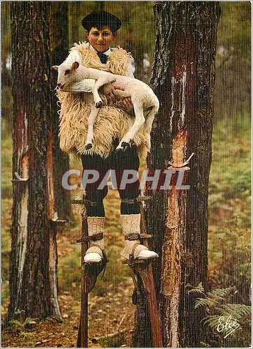 Cartes postales moderne La Landes groupe landais lous Cadetouns dans le Foret Landaise un jeune berger a Secouru un peti