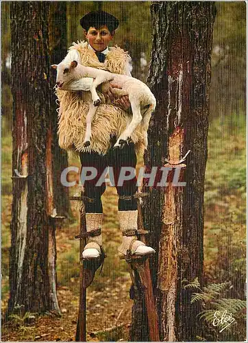 Moderne Karte La Landes groupe landais lous Cadetouns dans le Foret Landaise un jeune berger a Secouru un peti