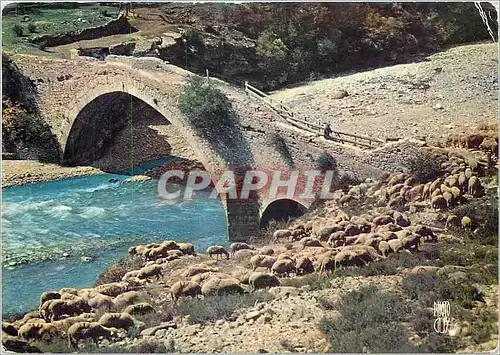 Moderne Karte Paysages de France Alpes de Provence les Transhumants