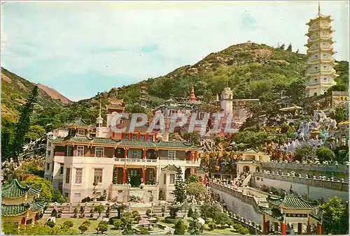 Cartes postales moderne Tiger Gardens