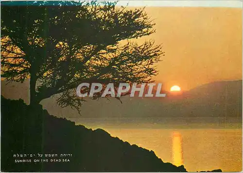 Cartes postales moderne Sunrise on the Dead sea