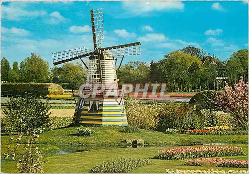 Cartes postales moderne Molenland Moulin a vend