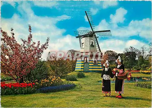 Cartes postales moderne Holland Land of Floxer and Wind mills