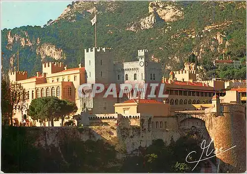 Cartes postales moderne Monaco Monte Carlo Vue generale du Palais