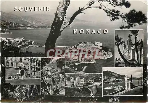 Cartes postales moderne Monaco Monte Carlo