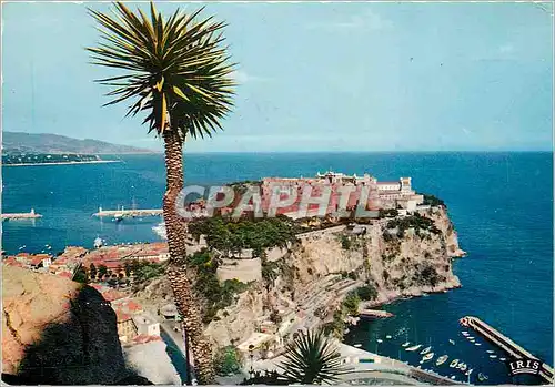 Cartes postales moderne Reflets de la Cote d'Azur Monaco Le rocher de Monaco vu du jardin Exotic au loin l'Italie