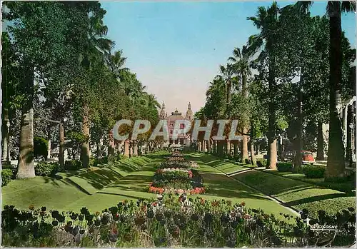 Cartes postales moderne Monte Carlo Les Jardins et le casino