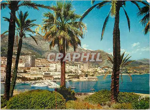 Cartes postales moderne La Cote d'Azur miracle de la nature Principaute de Monaco Vue generale de Monaco Vue generale su