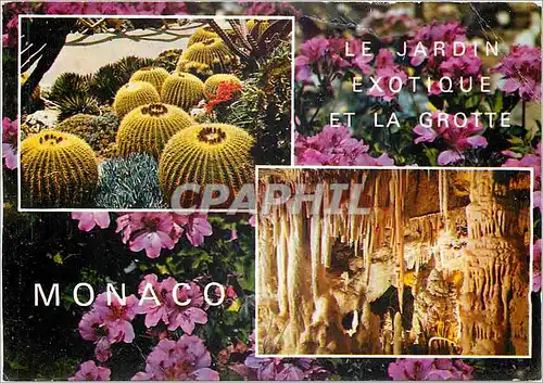 Cartes postales moderne Principaite de Monaco Le jardin Exotique et la Grotte