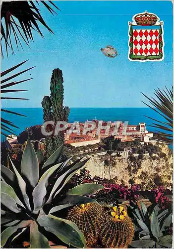 Cartes postales moderne Monaco Cote d'Azur Le rocher et le palais vue prise du jardin exotique