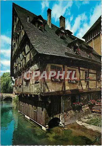 Cartes postales moderne Ulm Donau Das Alte Haus an der Blau