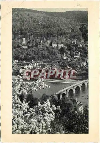 Cartes postales moderne Heidelberg im Friihling