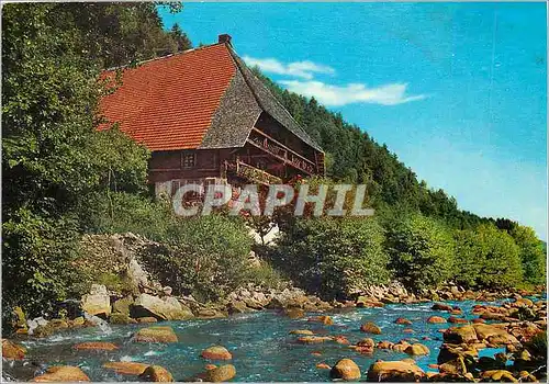 Cartes postales moderne Schwarzwald