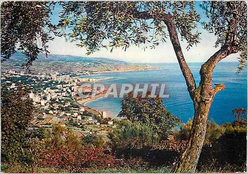 Cartes postales moderne Riviera dei Sanremo Panorama