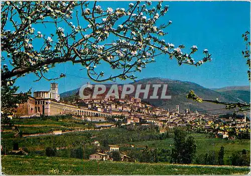 Cartes postales moderne Assisi Panorama generale